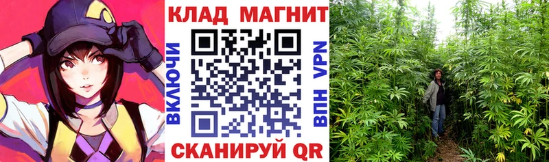 Купить закладку Урюпинск COCAIN LSD-25 ГАШИШ