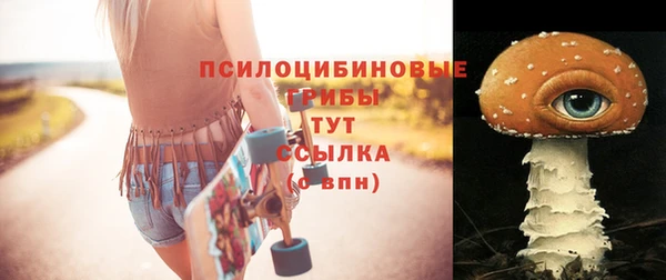 каннабис Арсеньев