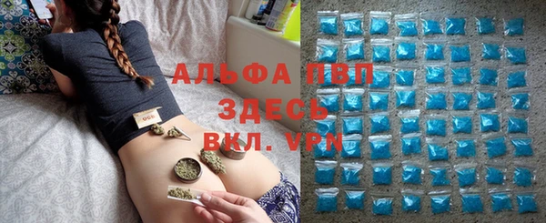 СК Аркадак