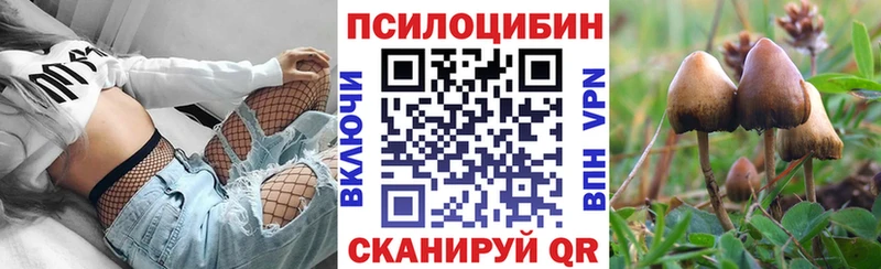 даркнет сайт  Урюпинск  Галлюциногенные грибы MAGIC MUSHROOMS 